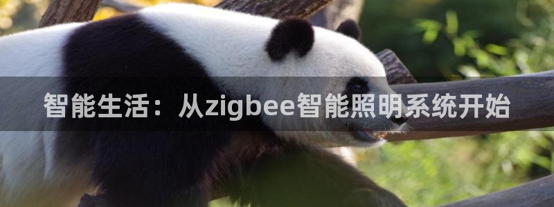 智能生活:从zigbee智能照明系统开始